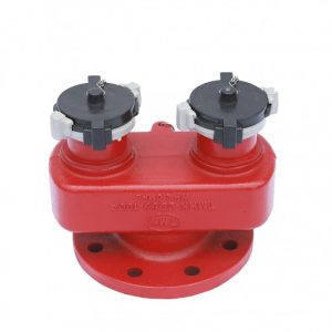 HỌNG CHỮA CHÁY 2 CỬA TOMOKEN/VN + KIỂM ĐỊNH